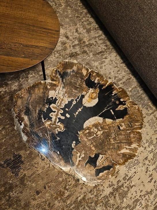 Salontafel bijzettafel versteend hout patrified wood, 50 tot 100 cm, Nieuw, Minder dan 50 cm, 50 tot 100 cm