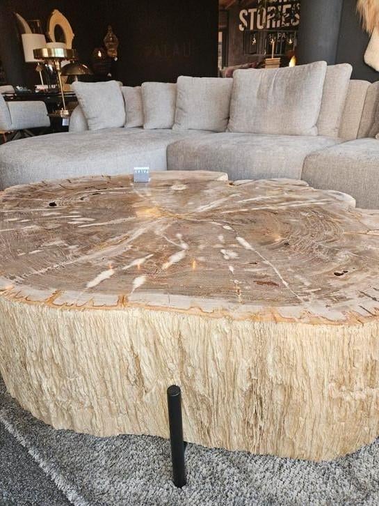 Salontafel versteend hout patrified wood, Nieuw, Minder dan 50 cm, Rechthoekig, 50 tot 100 cm