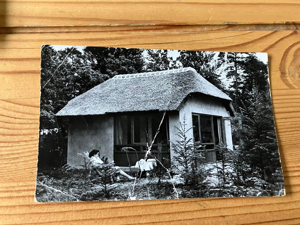 Ansichtkaart Driebergen Doorn, het grote bos (2), Ophalen of Verzenden, Utrecht