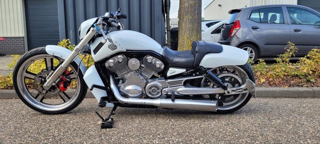 HARLEY-DAVIDSON V-ROD MUSCLE VRSCF 2017, Motoren, 2 cilinders, Motorrijbewijs A, Sportuitlaat, Particulier