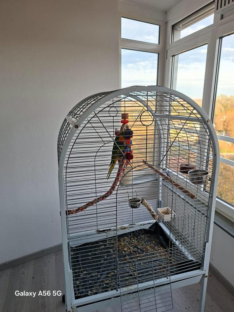 Vogel, Dieren en Toebehoren, Ophalen of Verzenden, Metaal, Vogelkooi