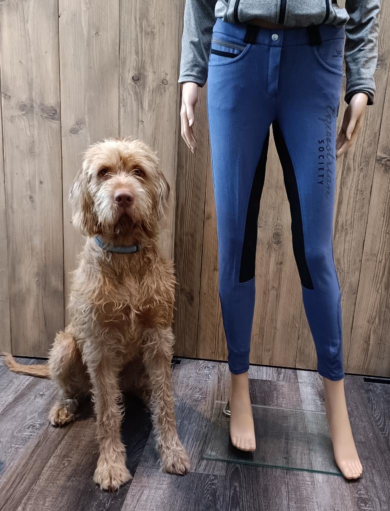 Uitverkoop Ruitersport, Overige typen, Nieuw, Ophalen of Verzenden, Info@harryshorse.nl