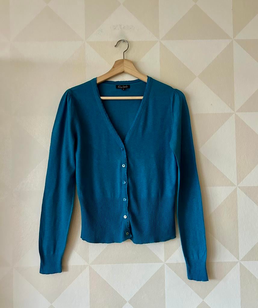 King Louie Cardi V Cocoon vest vestje blauw M/38, Kleding | Dames, Ophalen of Verzenden, Gedragen, Maat 38/40 (M), Blauw