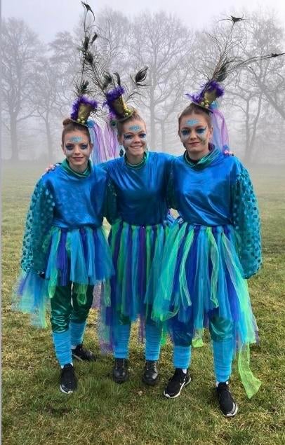 Carnavalspakken M-XL - 14 stuks - 2 Thema's, Kleding | Dames, Carnaval, Kleding, Gedragen, Ophalen