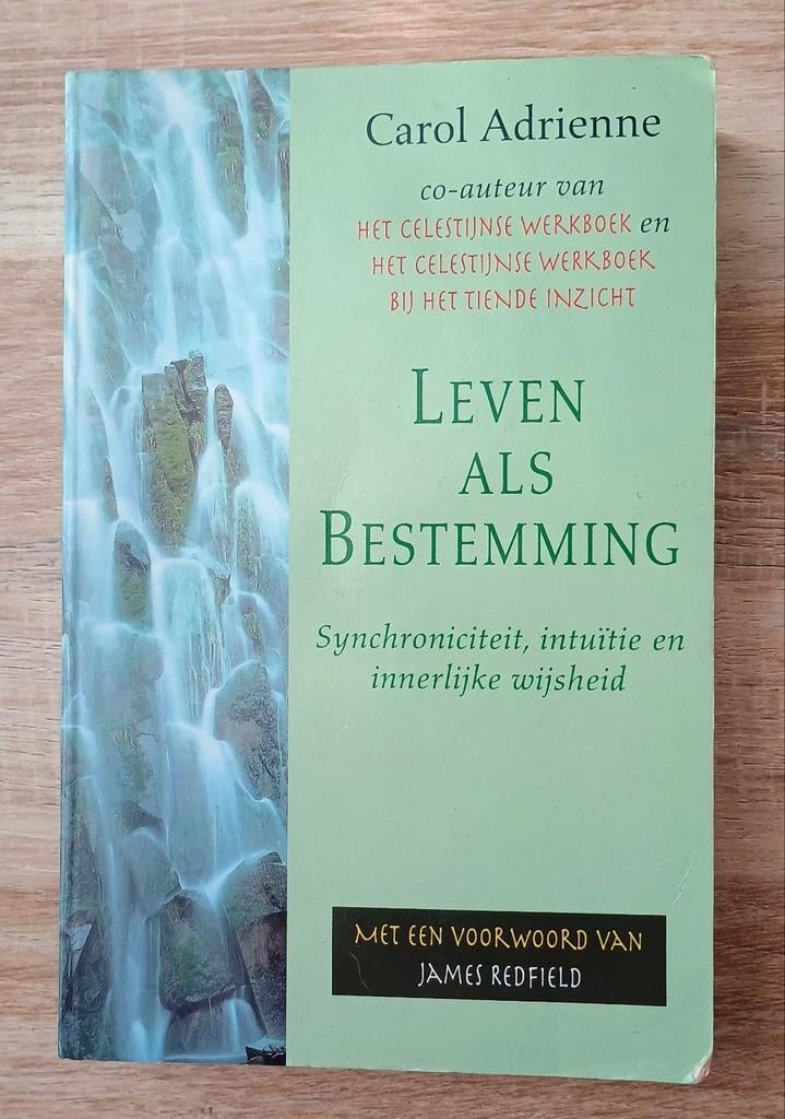 Leven als Bestemming - Carol Adrienne, Carol Adrienne, Ophalen of Verzenden, Zo goed als nieuw, Overige onderwerpen
