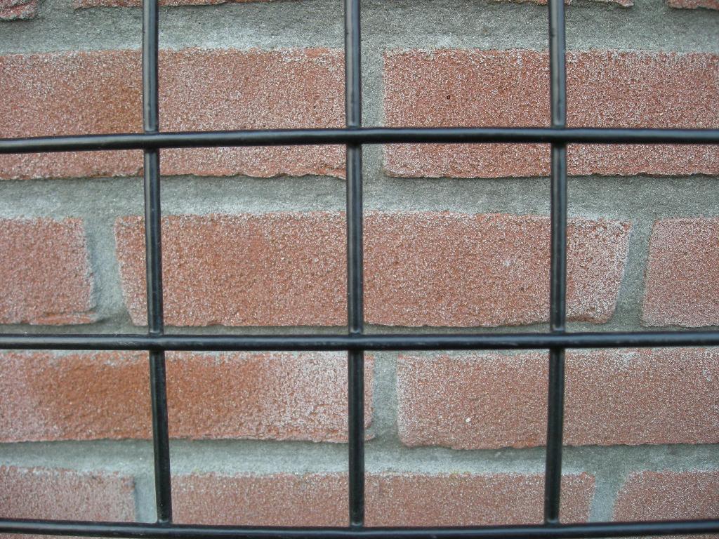 Draadmat, schutting, geplast. draadmatten 200cm x 100cm gaas, Ophalen, Nieuw, Minder dan 10 meter, Raster