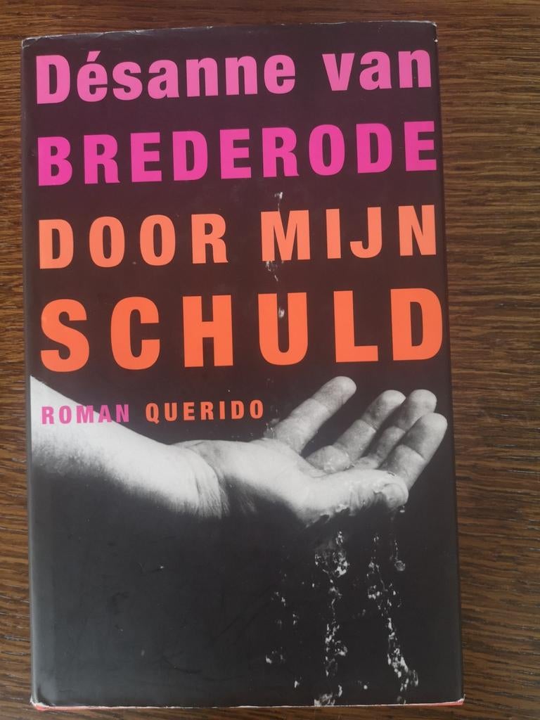 Désanne van Brederode, Door mijn schuld, Désanne van Brederode, Ophalen of Verzenden, Zo goed als nieuw, Nederland