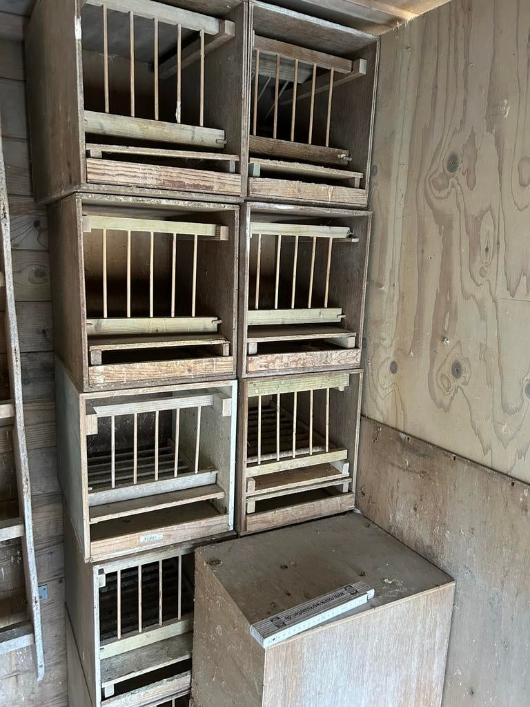 Kleine duiven hokken, Ophalen of Verzenden, Hout, Broedkooi of Kweekkooi