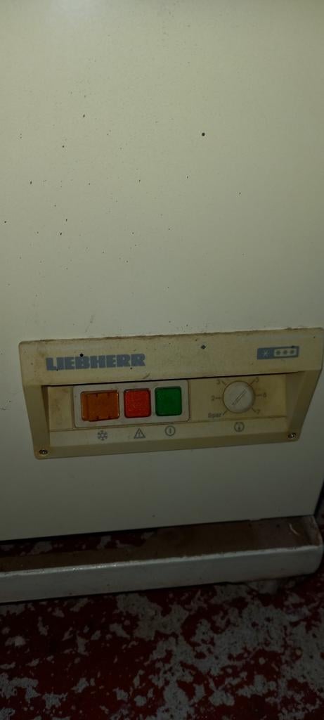 Liebherr Vrieskist - Oud maar vriest zeer goed, Witgoed en Apparatuur, Vriezers en Diepvrieskisten, Ophalen, Gebruikt, Vrijstaand