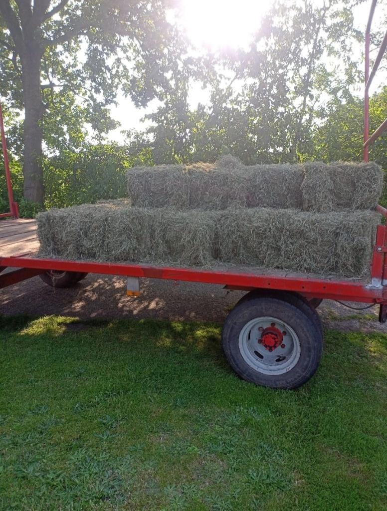 Baaltjes hooi / hooibalen, Dieren en Toebehoren, Ophalen, Vee