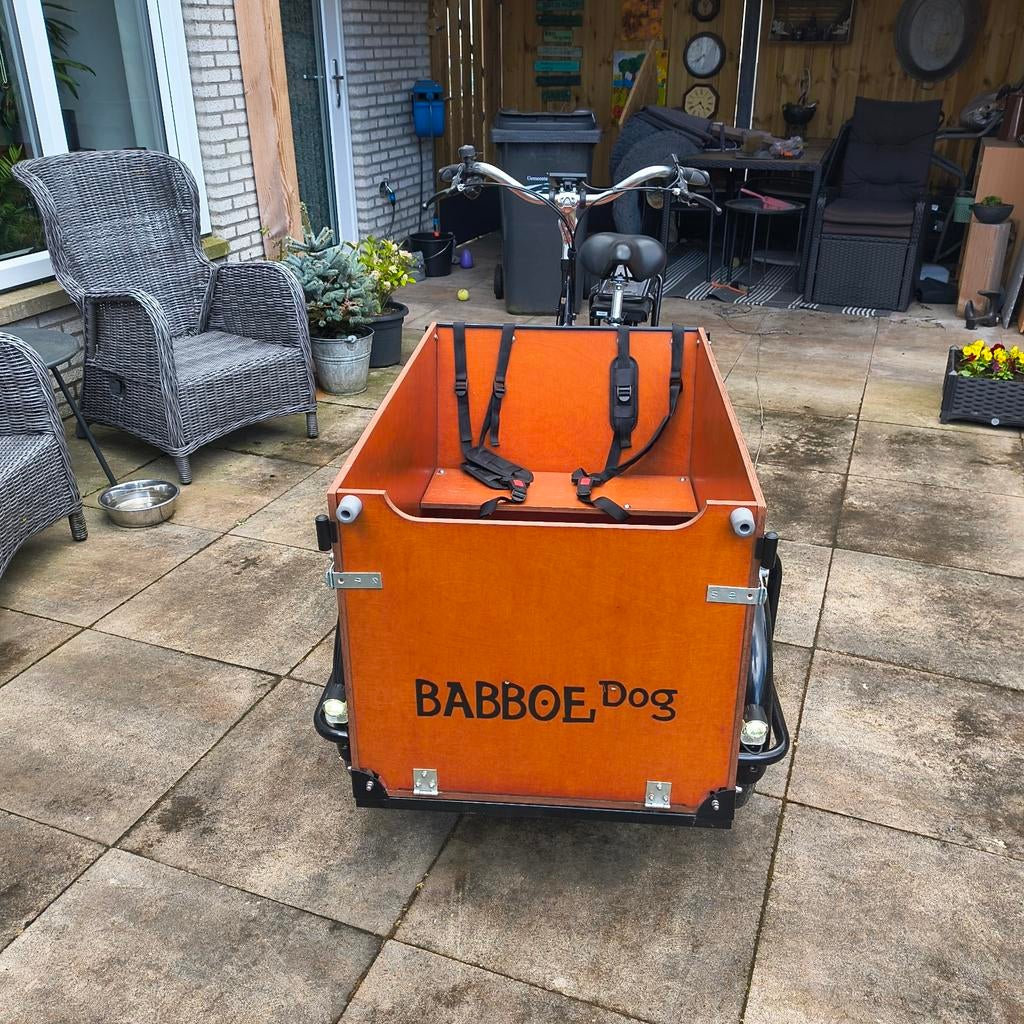 Elektrische bakfiets Babboe Dog-E, Elektrisch, Zo goed als nieuw, 2 kinderen, Ophalen