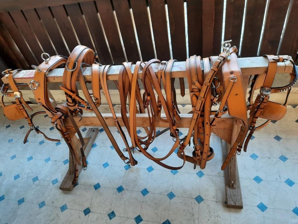 tweespan shetland pony  mentuig, Ophalen of Verzenden, Gebruikt, Overige soorten