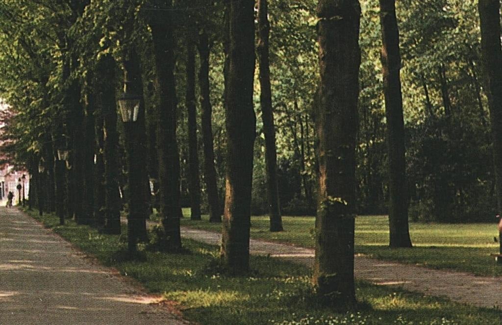 992286 Warmond ZH 1977 Bisschopslaan Gelopen met postzegel, Ophalen of Verzenden, 1960 tot 1980, Gelopen, Zuid-Holland