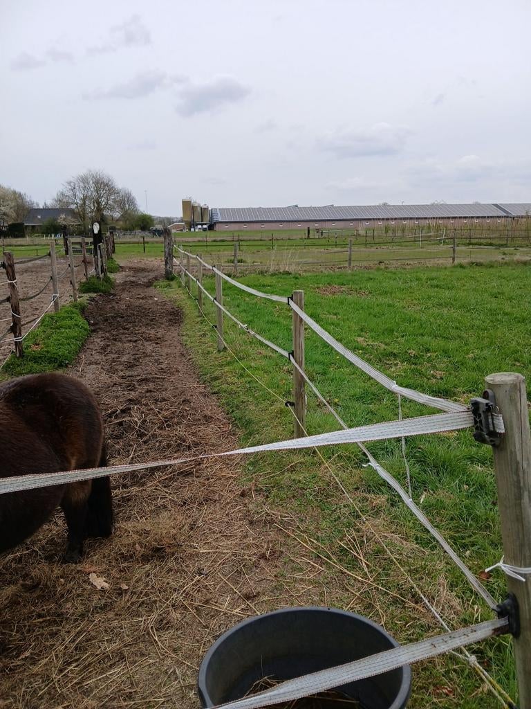 Weide met schuilstal te huur