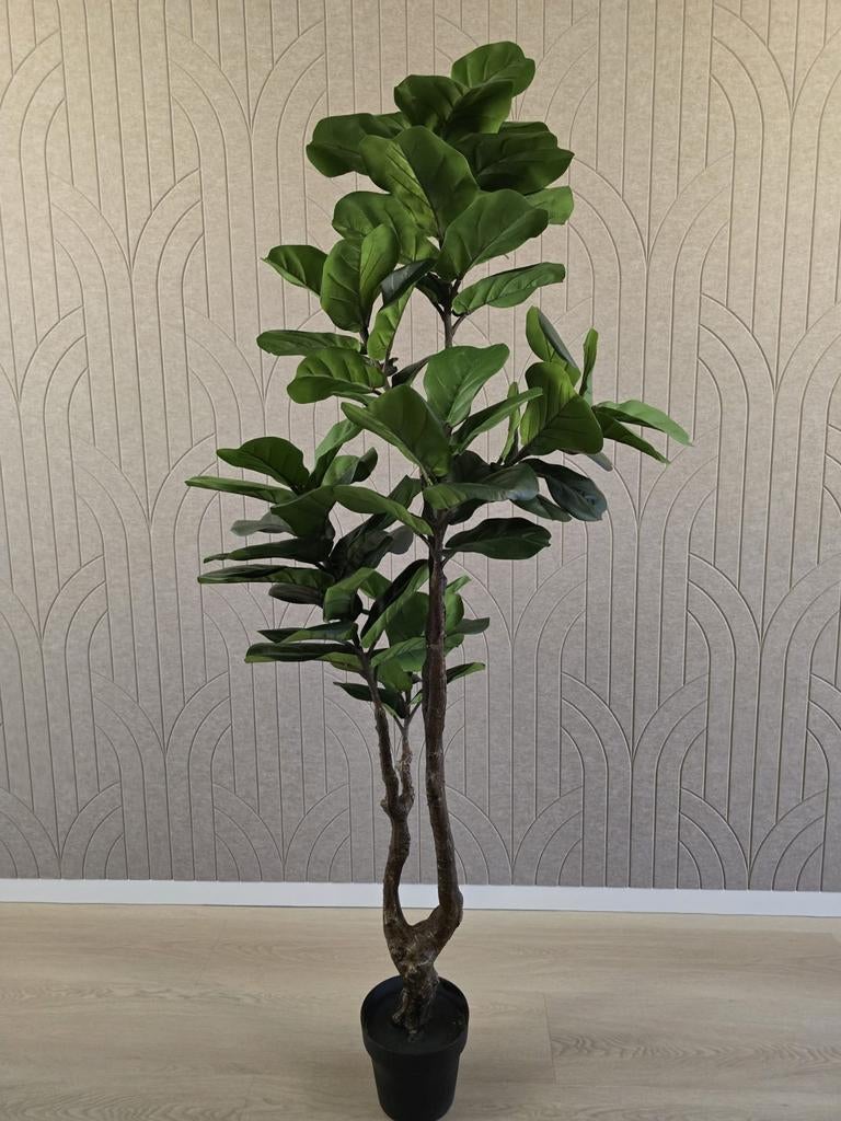 Kunstplant Ficus lyrata ofwel tabaksplant, Ophalen of Verzenden, Nieuw