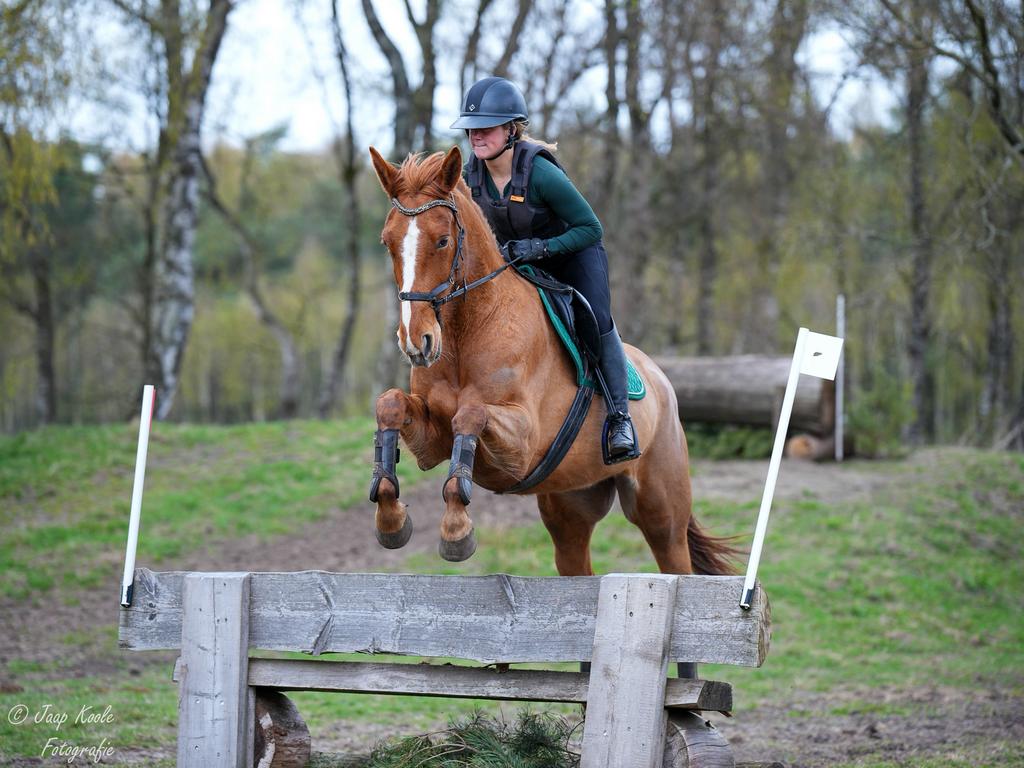 Plek voor lesklanten & trainingspaarden – regio Amersfoort, Gedragstraining