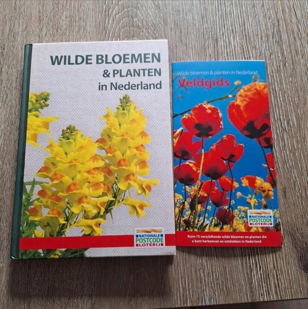 Wilde bloemen en planten in Nederland met veldgids, Ophalen of Verzenden, Nieuw, Bloemen, Planten en Bomen