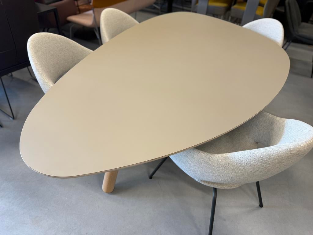 Showmodel Castelijn Circlips Eettafel grijs Design tafel 215, Castelijn, Overige vormen, Nieuw, 200 cm of meer