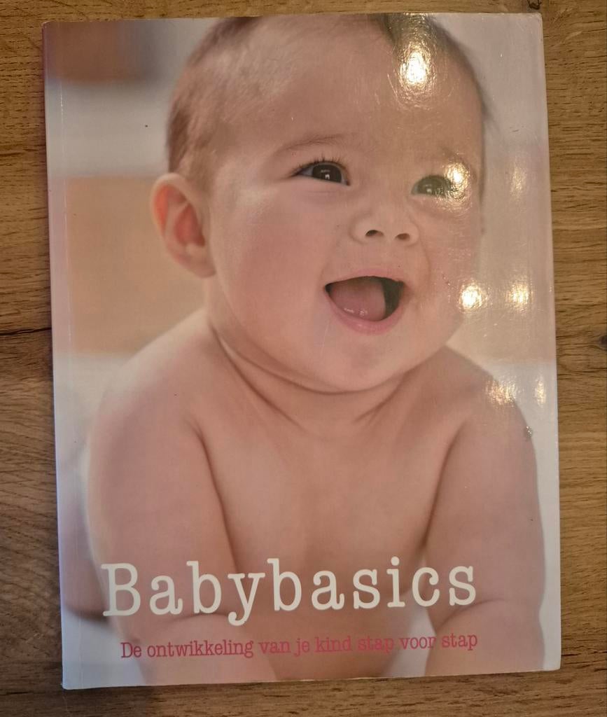 Babybasics: De ontwikkeling van je kind stap voor stap, Boeken, Ophalen of Verzenden, Zo goed als nieuw, Opvoeding tot 6 jaar