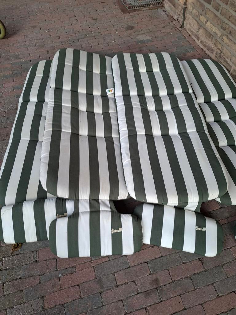 6 grote groen witte Hartman tuinkussens, Ophalen