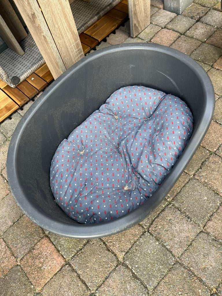 Gratis op te halen voor een kleine hond, Dieren en Toebehoren, Ophalen, Zo goed als nieuw