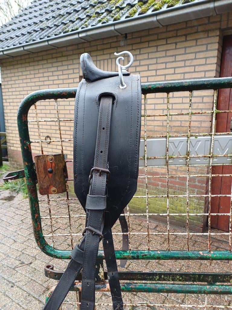 Menschoft, Dieren en Toebehoren, Ophalen of Verzenden, Overige soorten