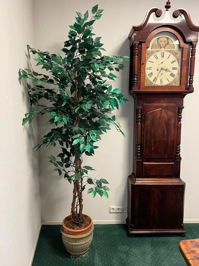 Antieke Mahonie Staande Klok met Maanstand en Maangezicht, Ophalen