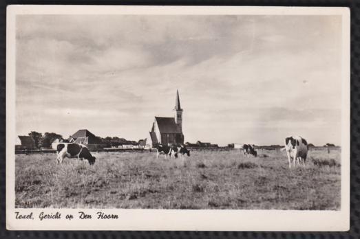 Texel - Gezicht op Den Hoorn, Verzamelen, Ophalen of Verzenden, 1940 tot 1960, Ongelopen, Waddeneilanden
