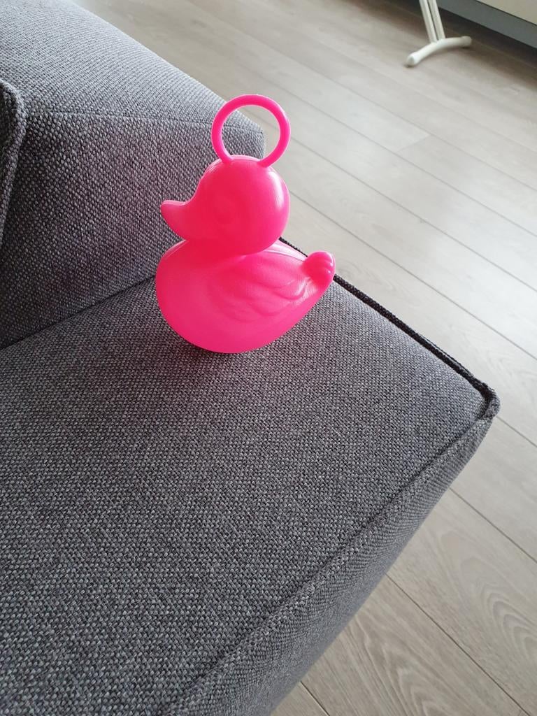 eendjes, Ophalen of Verzenden, Nieuw