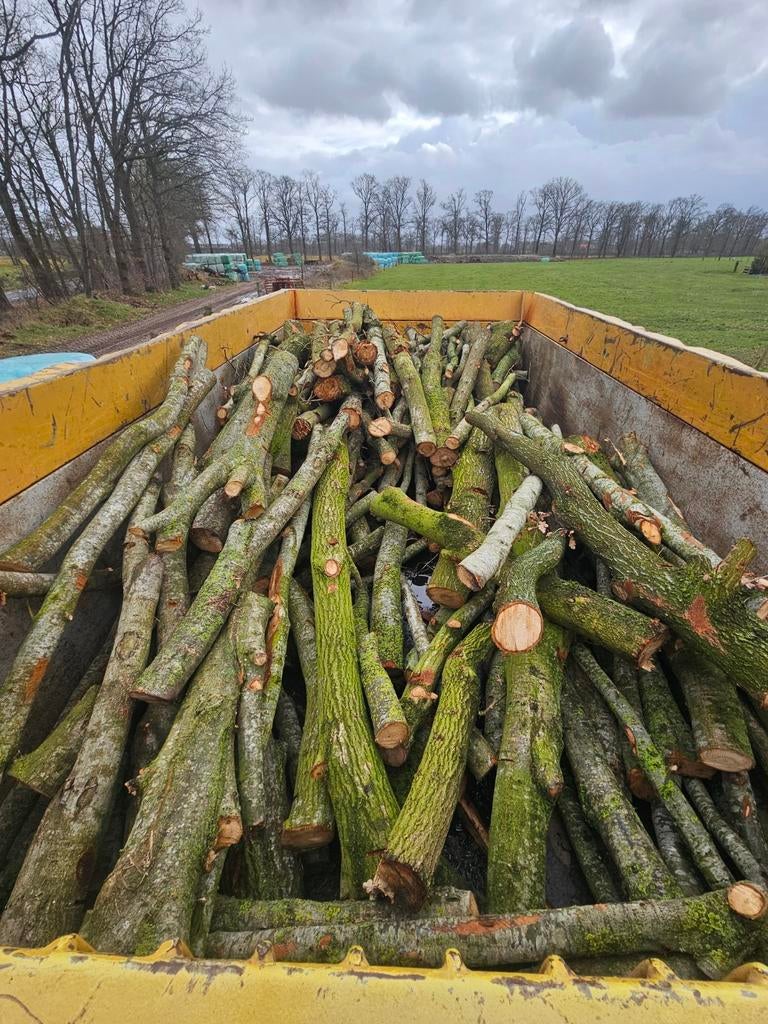 Eiken stamhout, Tuin en Terras, Haardhout, Minder dan 3 m³, Ophalen of Verzenden