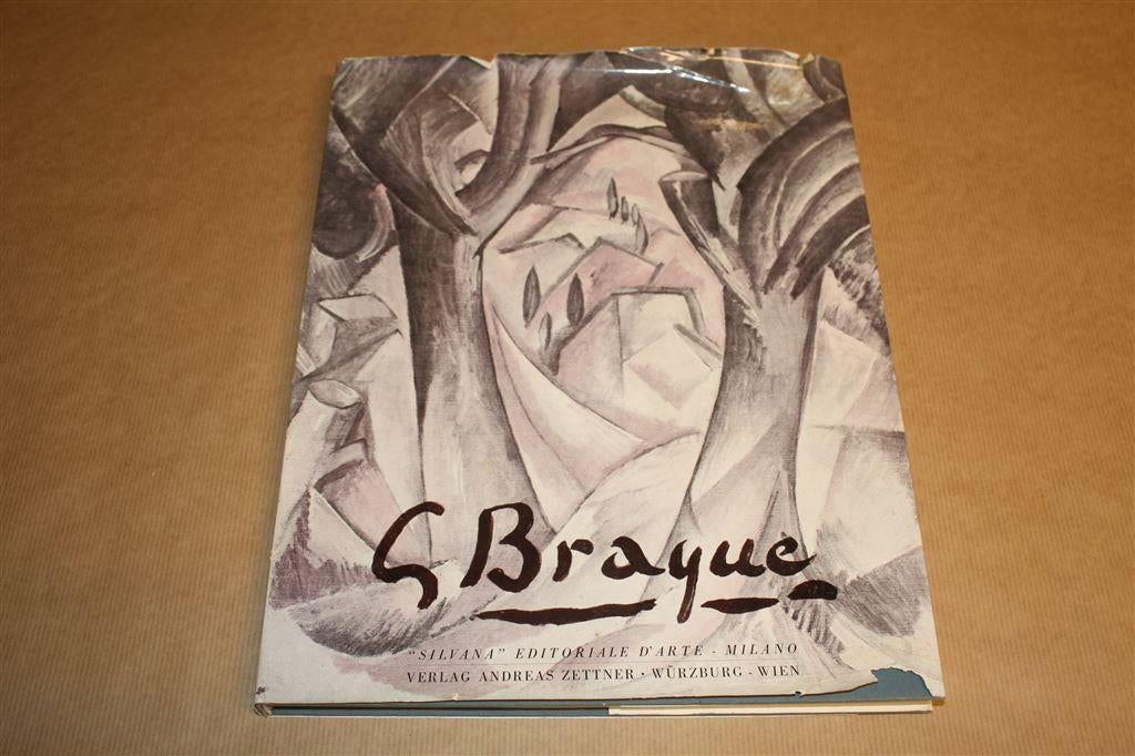 Prachtig groot boek over het werk van Braque, Ophalen of Verzenden, Zo goed als nieuw