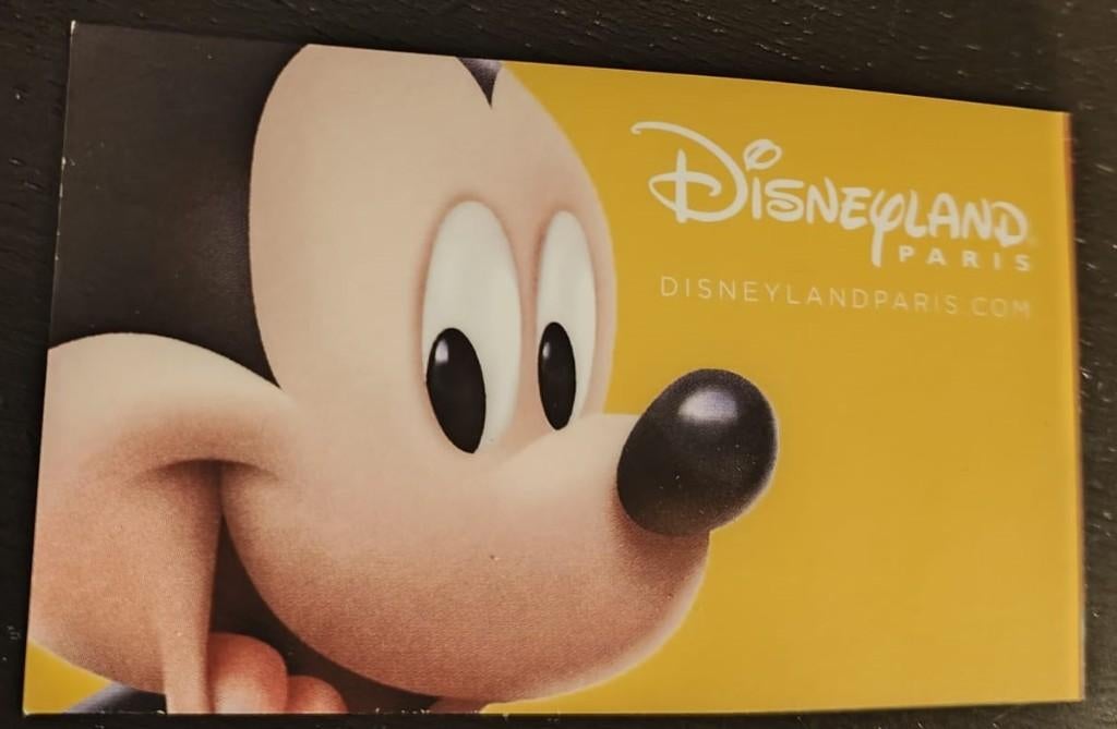 Disneyland Parijs Ticket, Tickets en Kaartjes, Eén persoon, Ticket of Toegangskaart