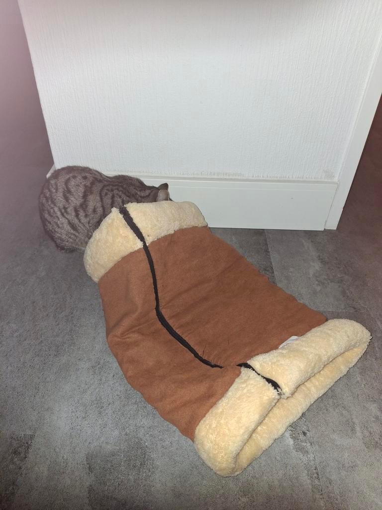 Kattentunnel shelter kattenspeelgoed krabpaal, Dieren en Toebehoren, Katten-accessoires, Ophalen of Verzenden, Zo goed als nieuw