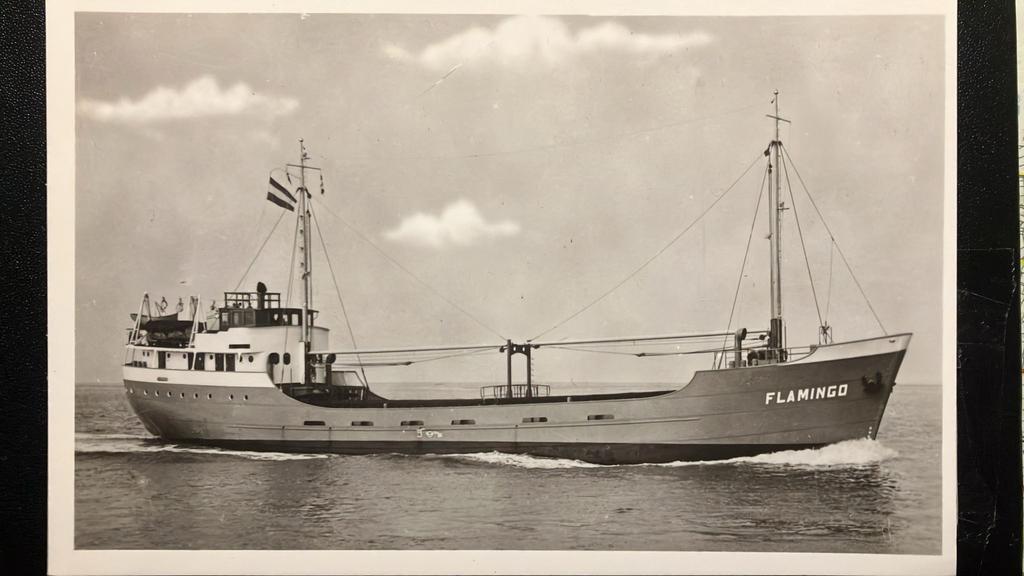 Technische kaart FLAMINGO ('63) gezonken 12/'59, Ophalen of Verzenden, Kaart, Foto of Prent