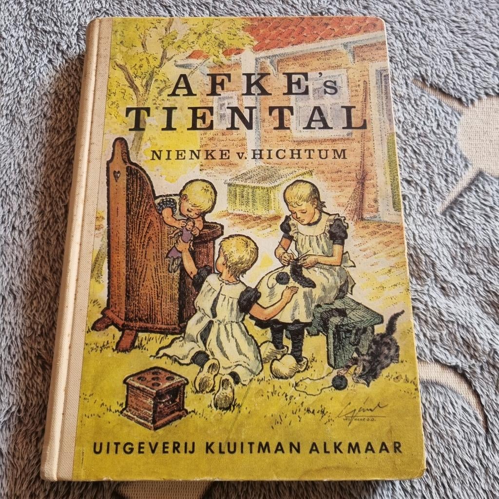 Afke's Tiental - Nienke van Hichtum, Ophalen of Verzenden, Gelezen, N.van Hichtum