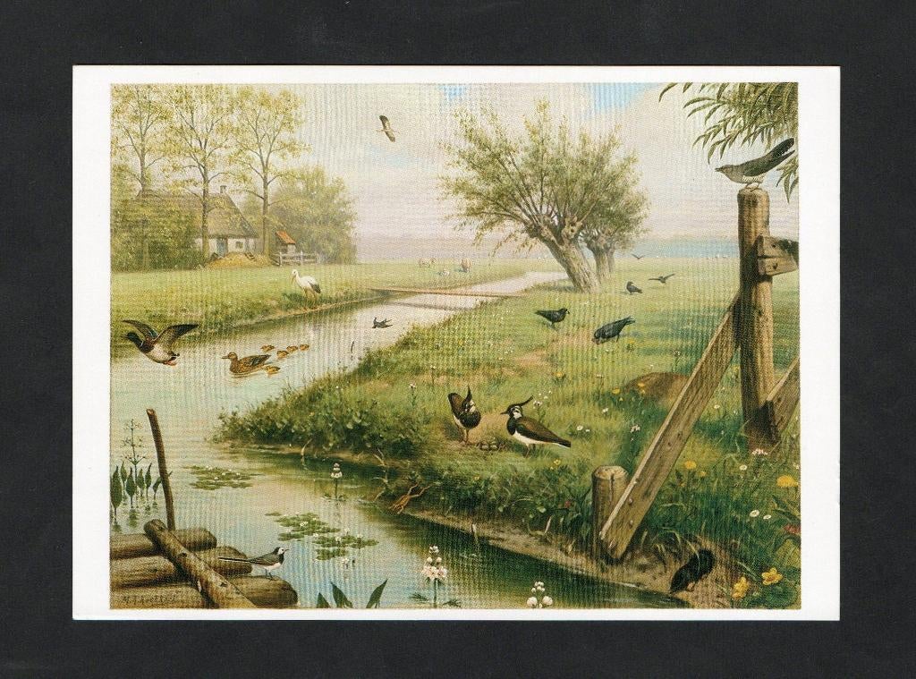 Ansichtkaart Schoolplaat In De Weide, Ooievaar Zwaluw Kievit, Ophalen of Verzenden, 1980 tot heden, Ongelopen, Wild dier