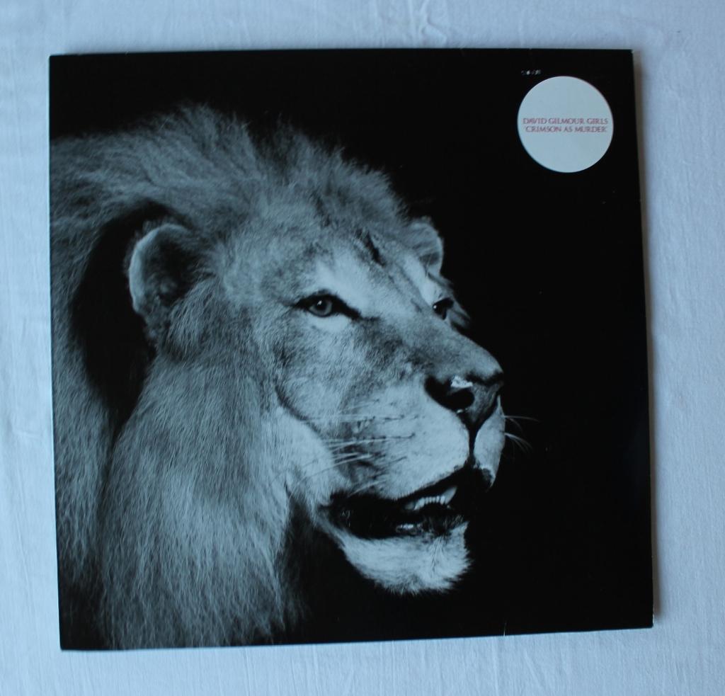 David gilmour girls - crimson as murder, Cd's en Dvd's, Maxi-single, Ophalen of Verzenden, Zo goed als nieuw, Pop