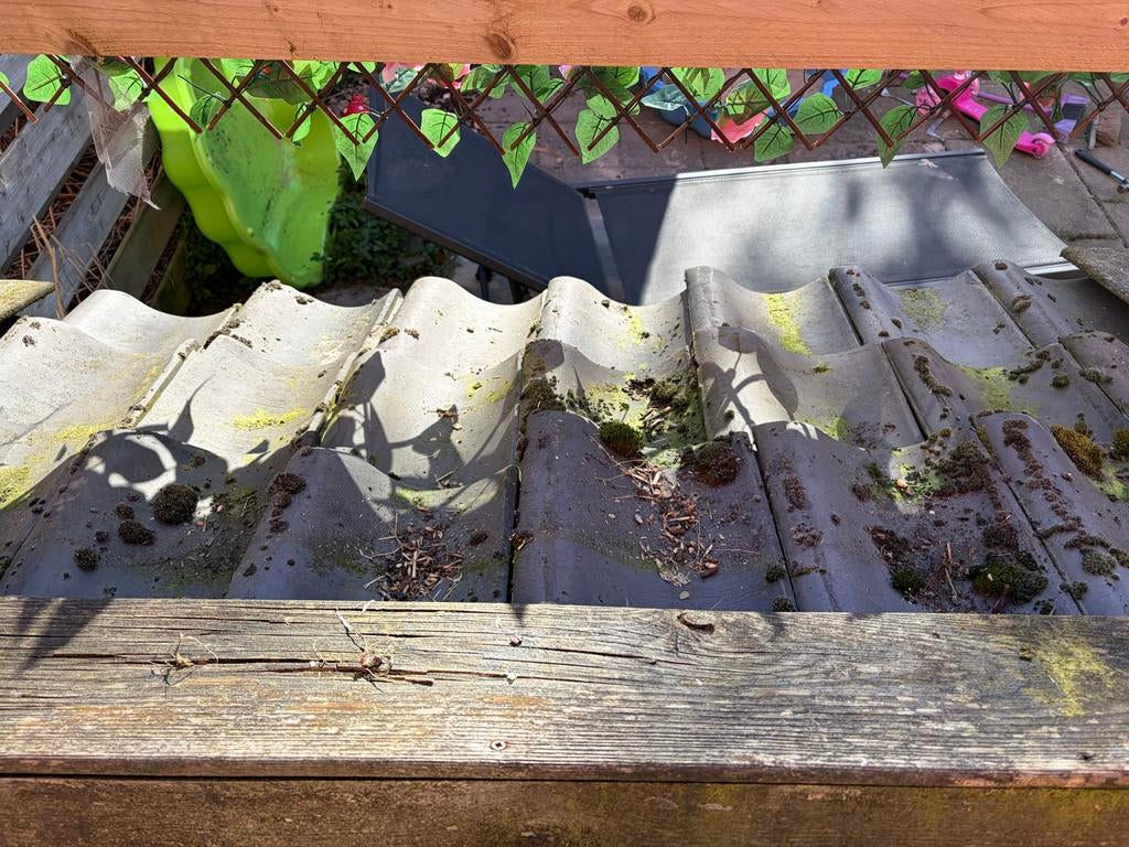 Cavia/ konijnenhok, Dieren en Toebehoren, Knaagdieren en Konijnen | Hokken en Kooien, Gebruikt, Hok, Minder dan 60 cm, 110 cm of meer