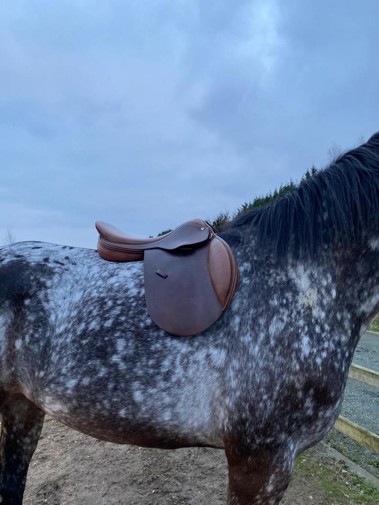Springzadel., Dieren en Toebehoren, Ophalen, Gebruikt, Springen