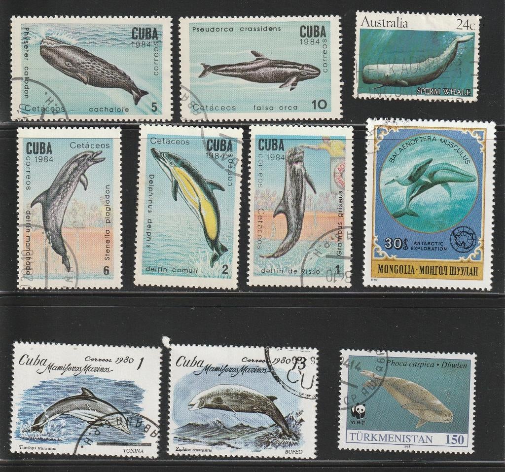 Walvissen en Dolfijnen Kavel nr. 1, Verzenden, Gestempeld, Dier of Natuur