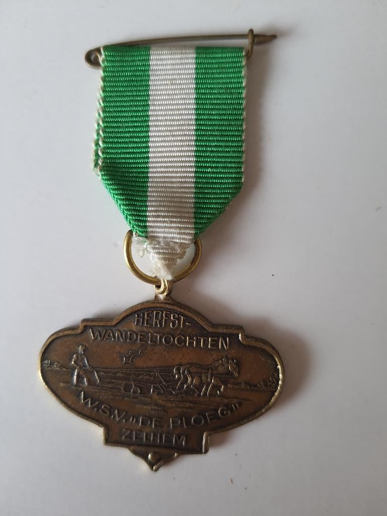 Wandelmedaille zelhem, Ophalen of Verzenden, Overige materialen, Nederland