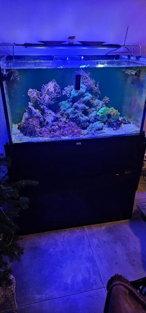 Compleet zeeaqarium kunt gelijk starten, Dieren en Toebehoren, Vissen | Aquaria en Toebehoren, Ophalen, Leeg aquarium