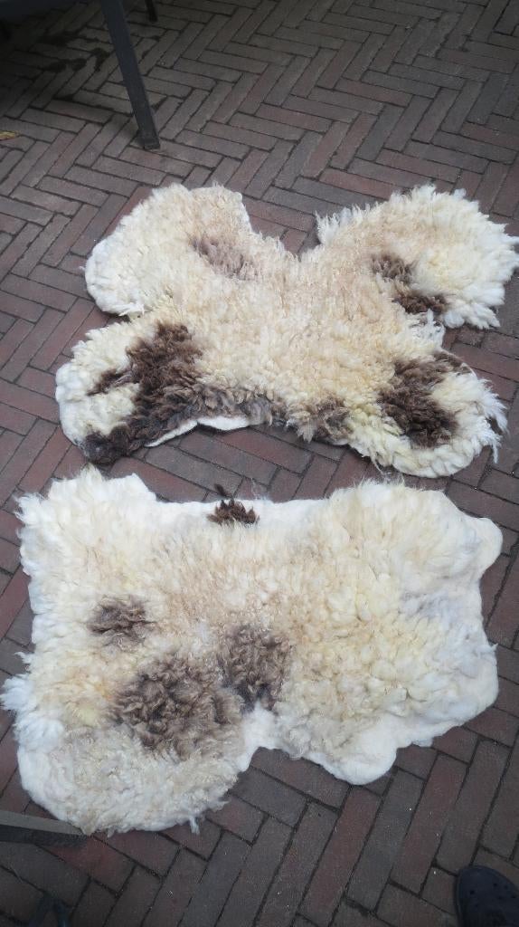 2 gevilte vachten Jacobschaap, mooi tweetal, wol, Ophalen of Verzenden, Nieuw