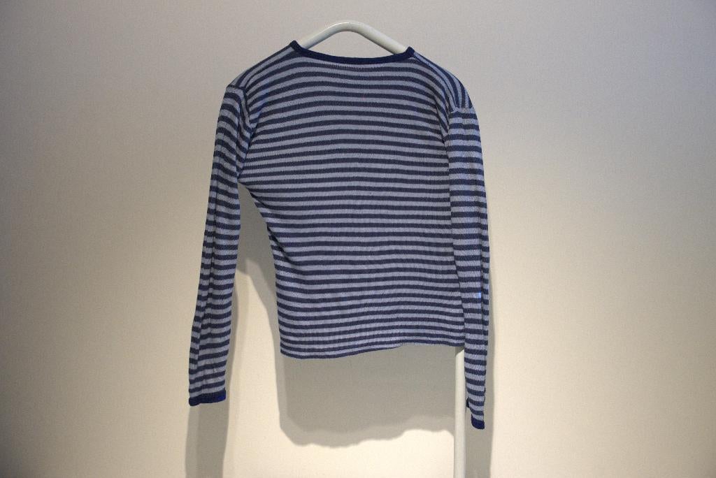 Carnavals kleding gestreept truitje, Overige kleuren, Ophalen of Verzenden, Onbekend, Maat 36 (S)