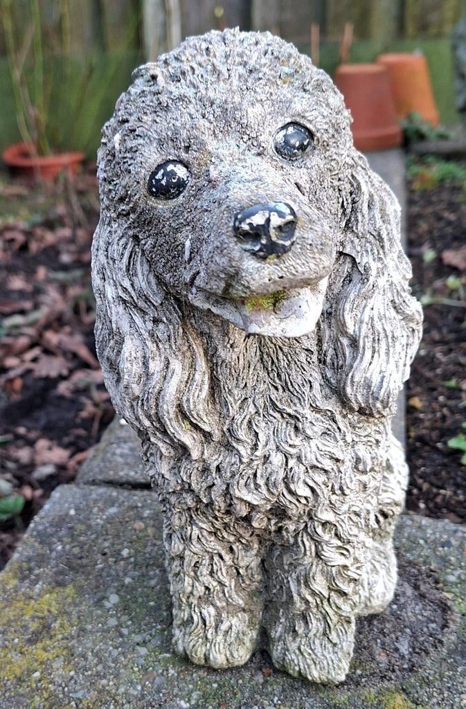 Beeldje van een langharige teckel, Ophalen of Verzenden