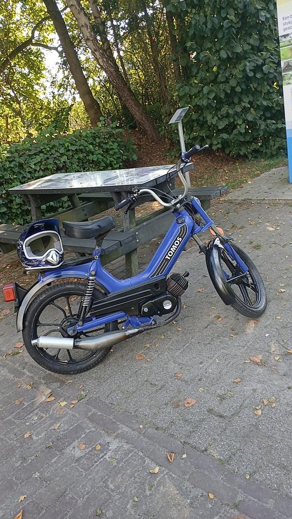 Tomos GEZOCHT!! GELE plaat, Fietsen en Brommers, Brommers | Tomos, Zo goed als nieuw, Ophalen of Verzenden