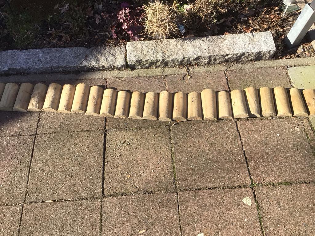 Geïmpregneerde houten borderrollen - 2 meter, Ophalen of Verzenden, Border, Minder dan 25 cm, Hout