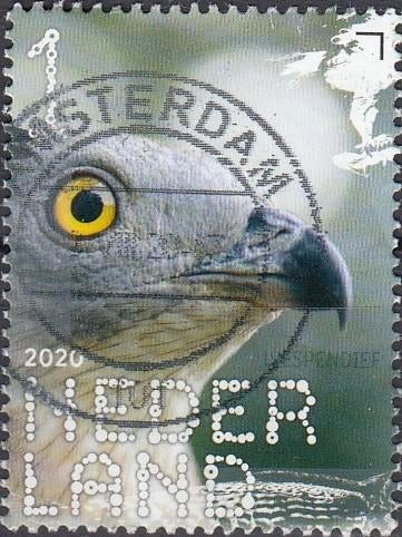 Nederland- 2020- NVPH-3813- Natuur- Vogels- Wespendief- G, Verzenden, Na 1940, Gestempeld