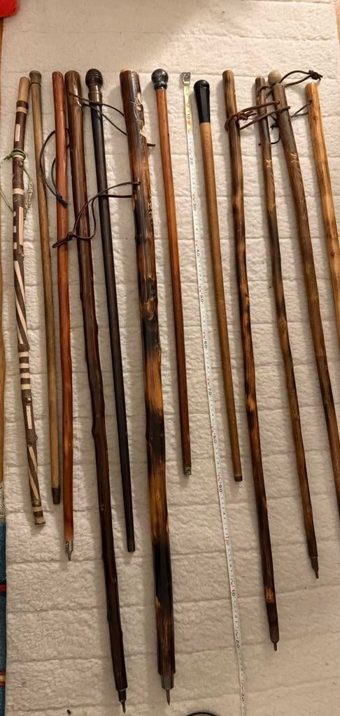 Wandelstok een echte STOK, Ophalen of Verzenden, Zo goed als nieuw