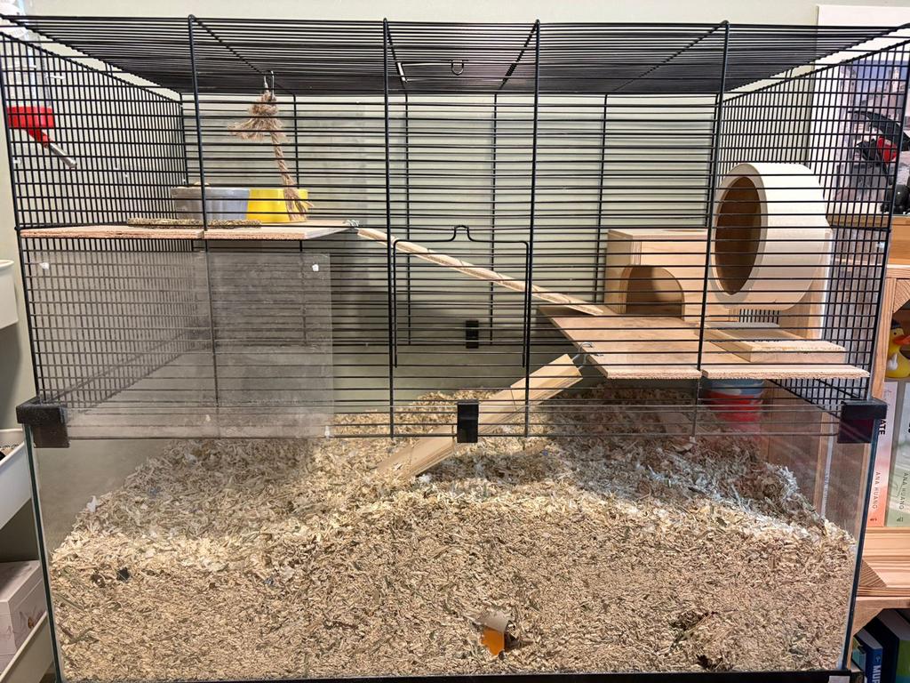 Prachtig nieuw hok voor knaagdieren, Dieren en Toebehoren, Knaagdieren en Konijnen | Hokken en Kooien, 110 cm of meer, Zo goed als nieuw